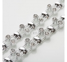 PASSAMANERIA CON STRASS 765 ARG