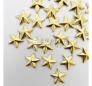 BORCHIA STELLA ORO