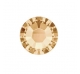 STRASS GOLDEN SHADOW STARFIX