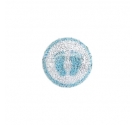 Applicazione STRASS PIEDINI AZZURRI